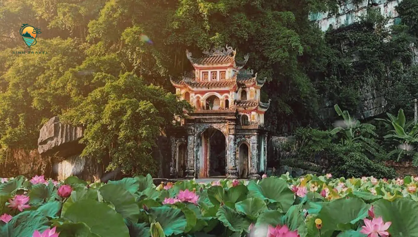 Check in hồ sen Hang M&uacute;a